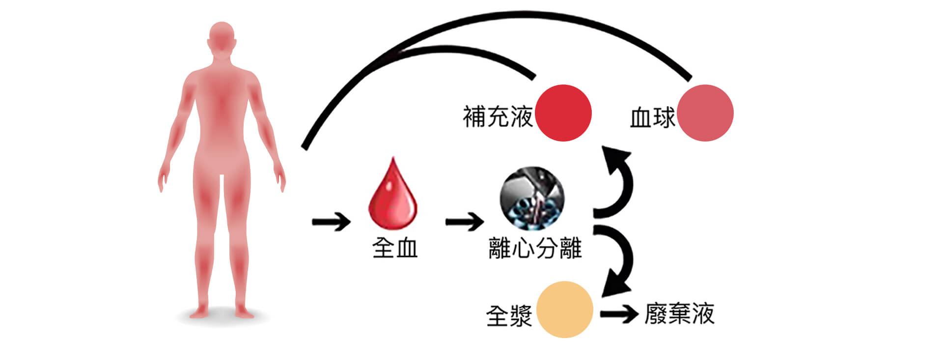 blood-pic1-1