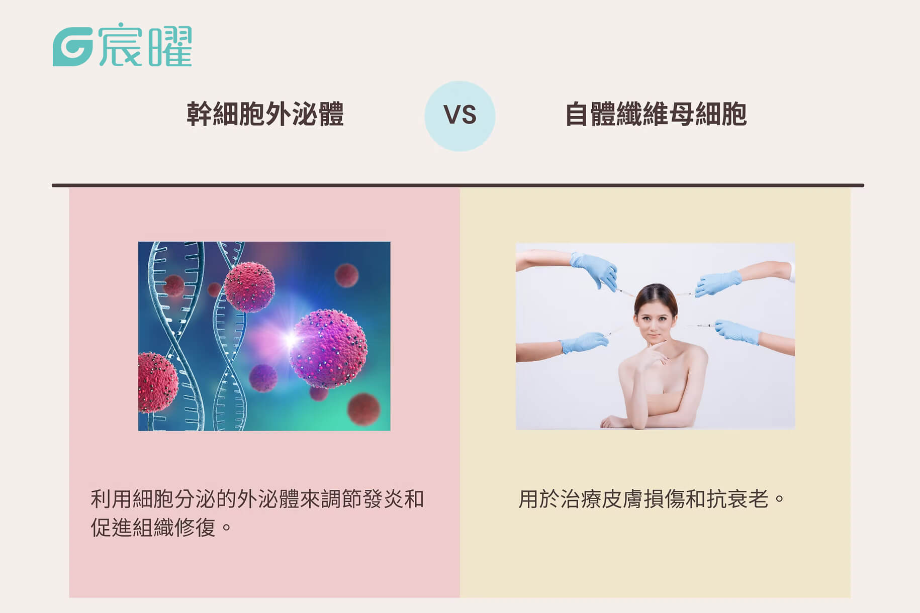 幹細胞VS自體纖維細胞